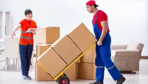 Will packers and movers move everything?