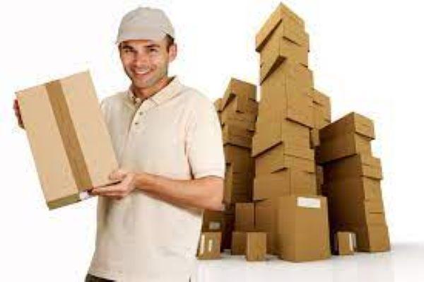 What does packers and movers do