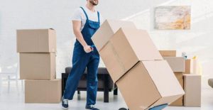 Role of packers and movers in business